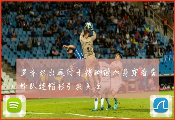 罗齐尔出庭时手铐脚镣加身穿着黄蜂队连帽衫引发关注
