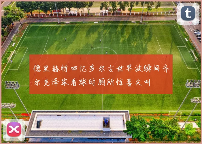 德里赫特回忆多尔古世界波瞬间齐尔克泽家看球时厕所惊喜尖叫
