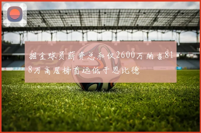 掘金球员薪资总和仅2600万纳吉818万高居榜首远低于恩比德