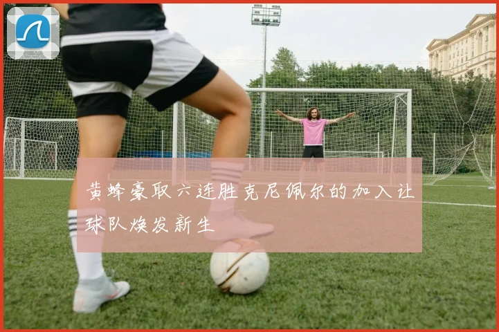 黄蜂豪取六连胜克尼佩尔的加入让球队焕发新生