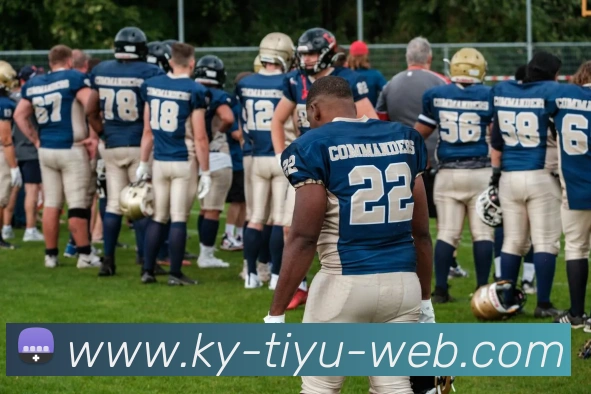 开元体育APP 封面图